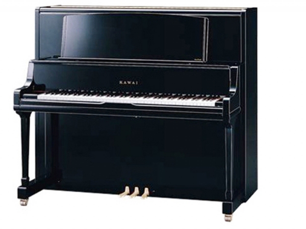 钢琴 (2)